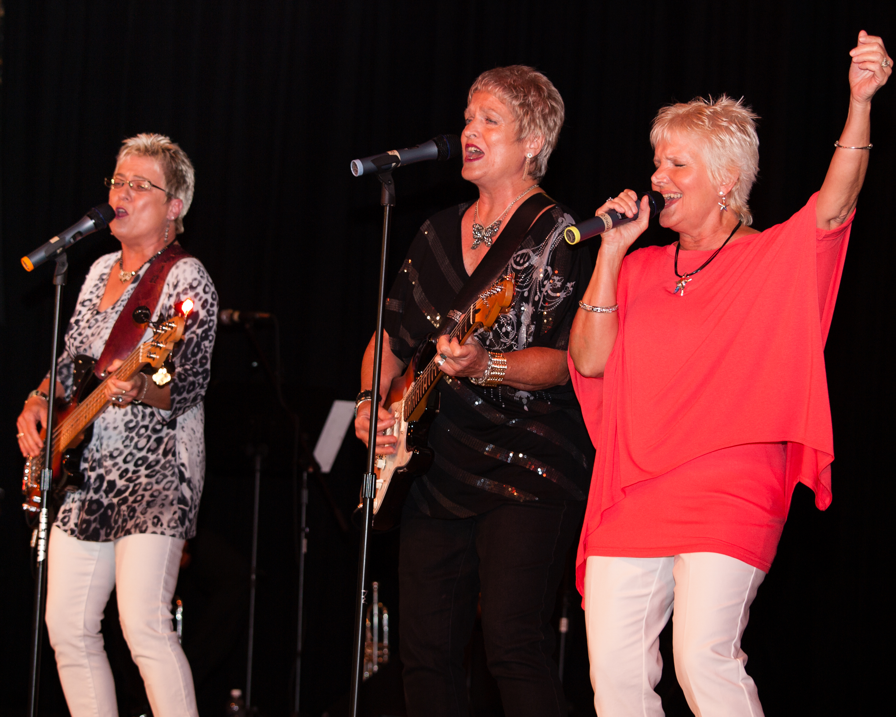 Main Stage – 2014 | Old Time Music, Ozark Heritage Festival